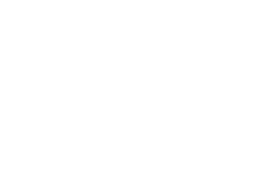 Nirvana Turizm